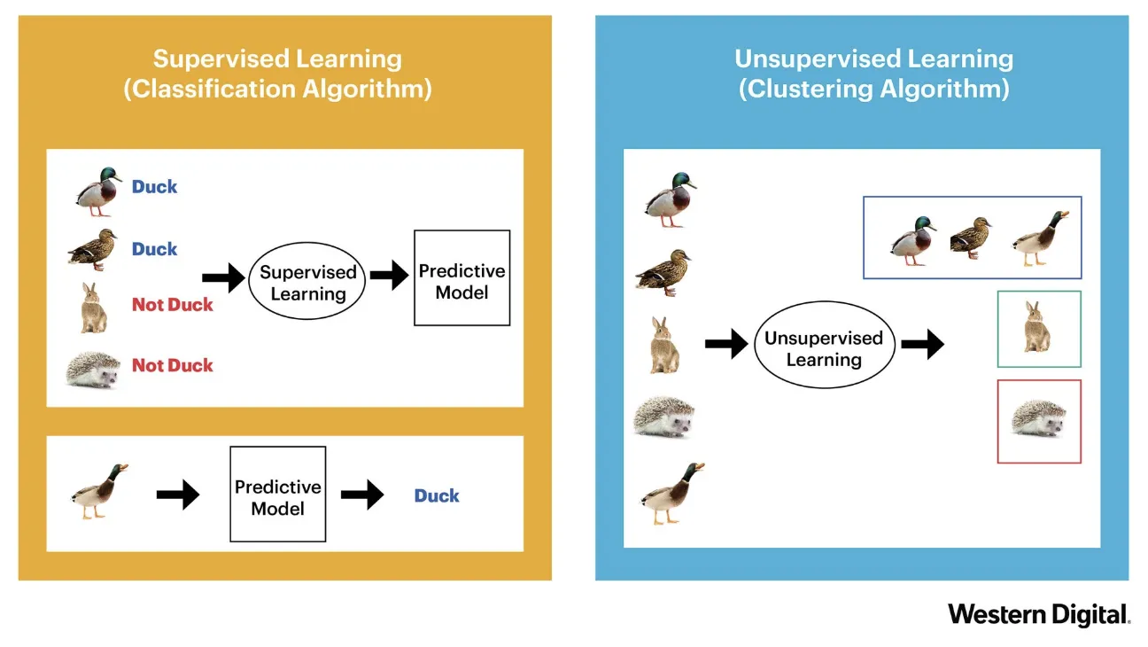 Unterschied supervised vs. unsupervised learning